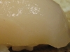 Scallop (Hotate)